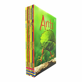 Sách thiếu nhi tiếng Anh - Usborne Beginners Nature  Children Collection 