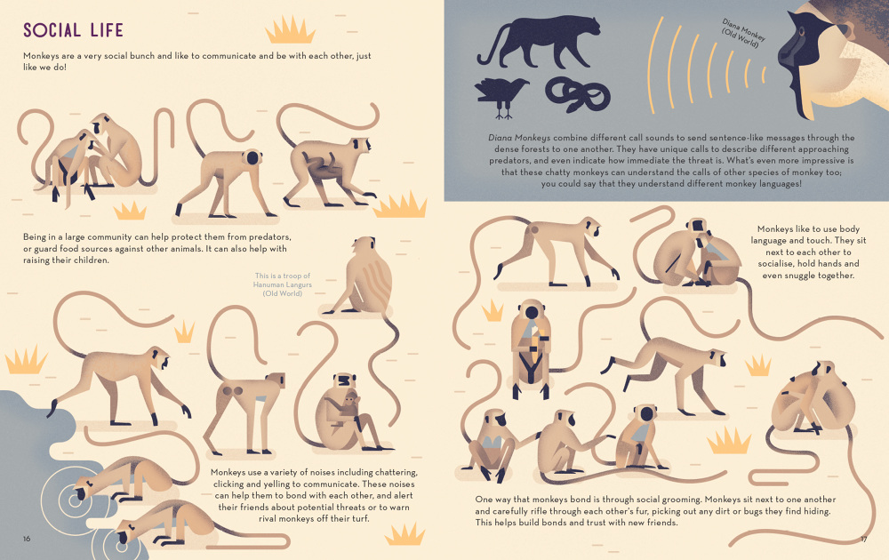 Sách tiếng Anh - Mad about Monkeys