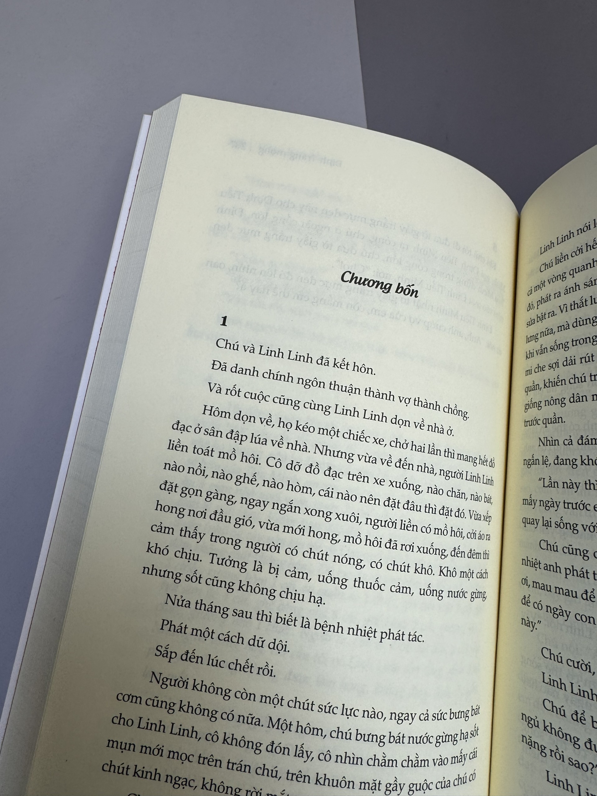 (Tái bản 2023) ĐINH TRANG MỘNG - Diêm Liên Khoa - Tao Đàn