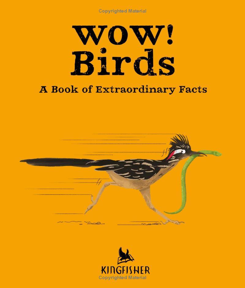 Wow! Look What Birds Can Do!