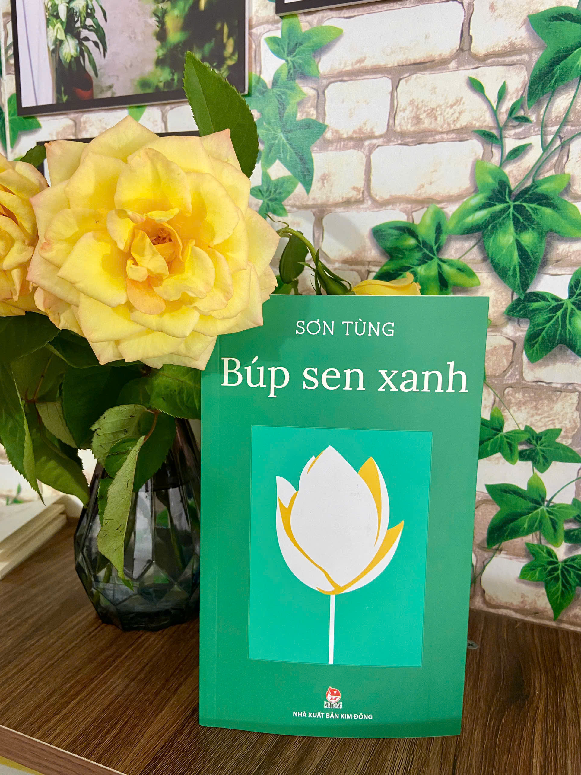 Búp Sen Xanh - Sơn Tùng