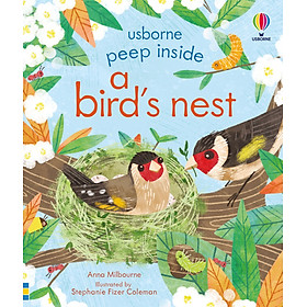 Peep Inside a bird