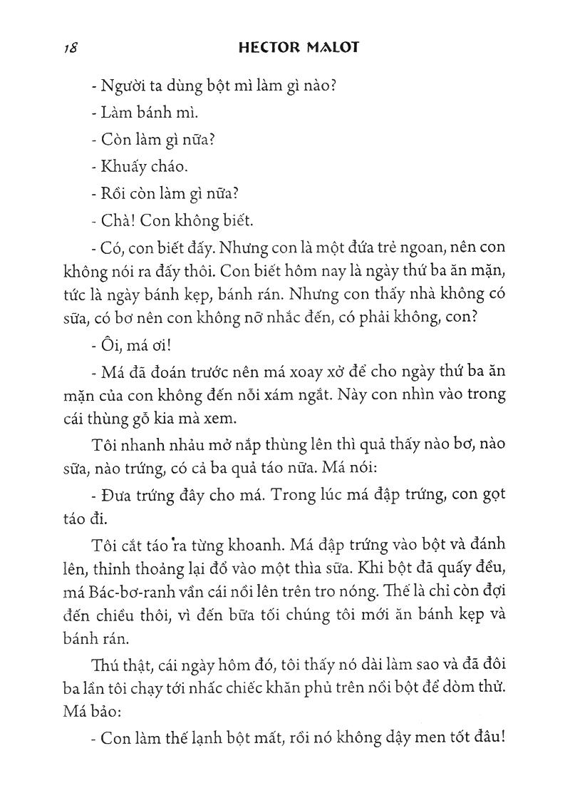 Không Gia Đình - Bìa Cứng