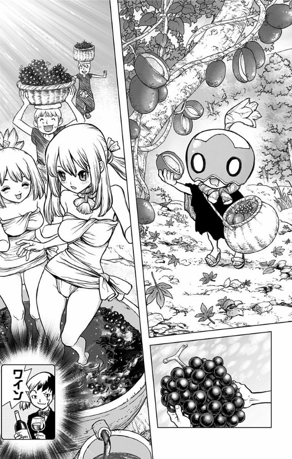 Dr.STONE 7 (ジャンプコミックス)