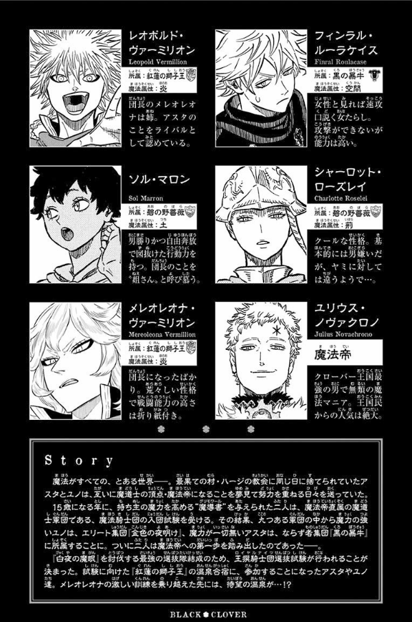 ブラッククローバー 13 - Black Clover 13