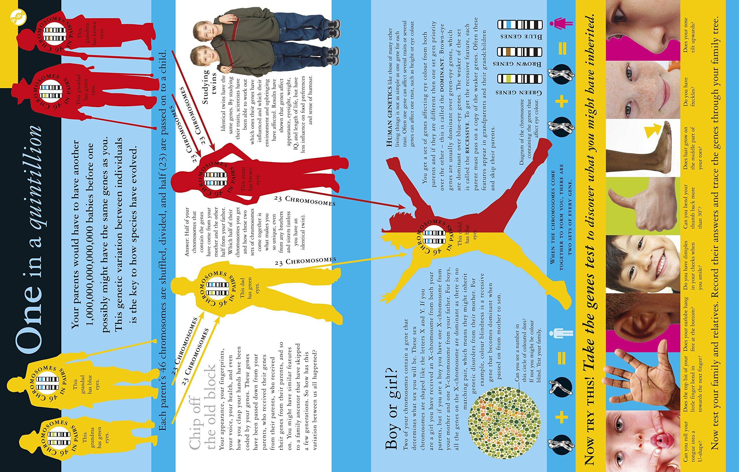 All About Evolution (Big Questions)