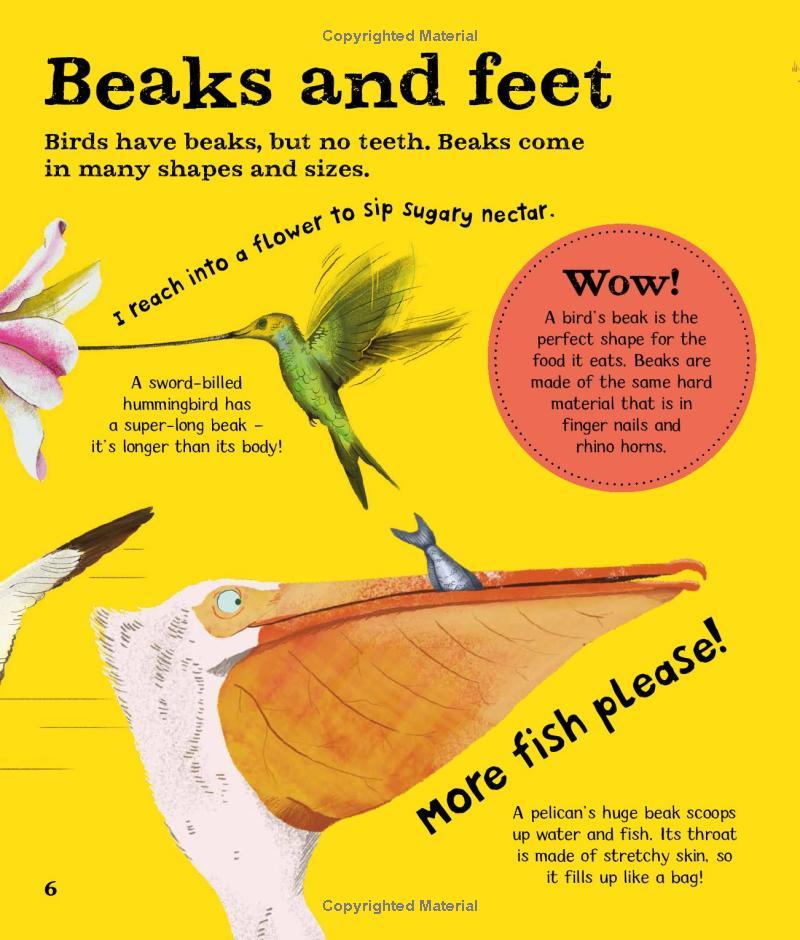 Wow! Look What Birds Can Do!