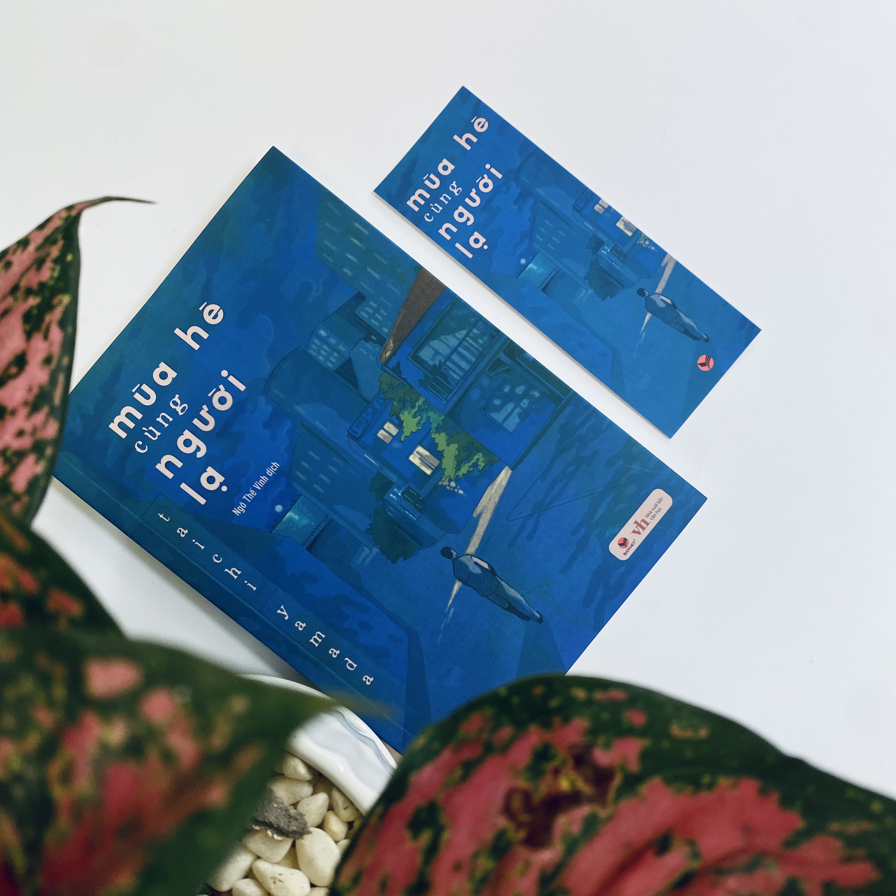 Sách - Mùa hè cùng người lạ