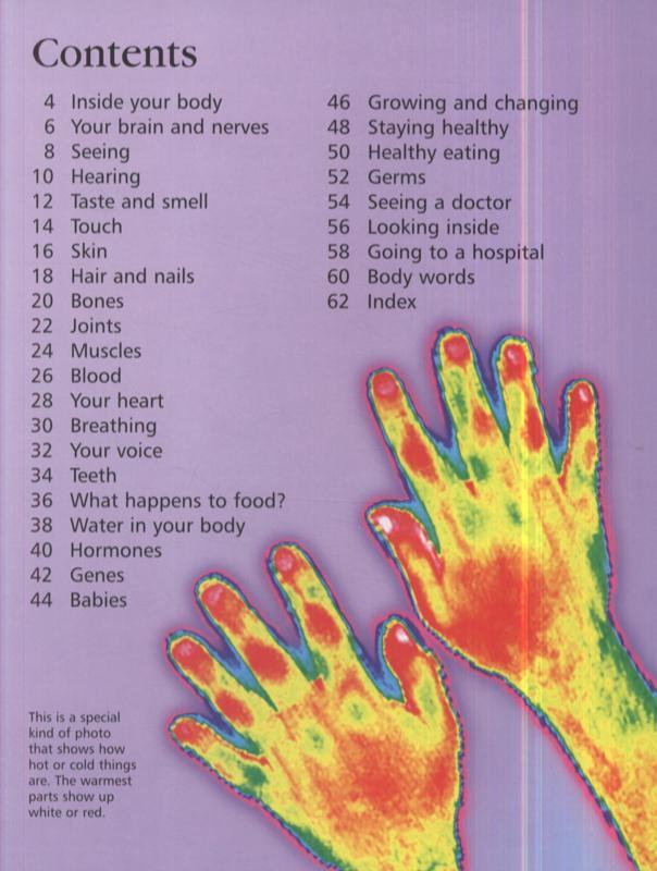 Sách tiếng Anh - Usborne First Encyclopedia of the Human Body
