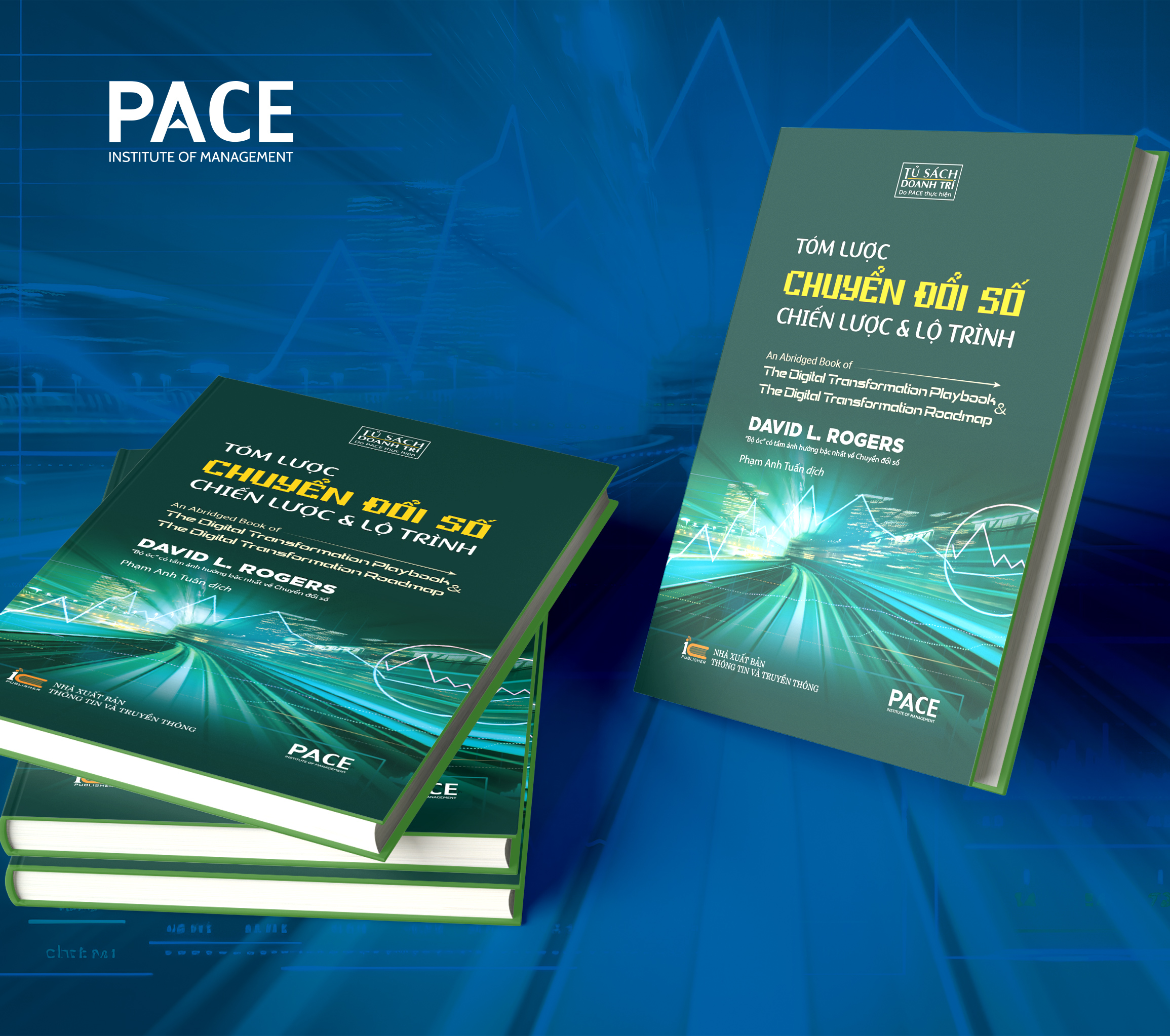Tóm Lược Chuyển Đổi Số - Chiến Lược Và Lộ Trình (An Abridged Book of Digital Transformation Play Book & The Digital Transformation Roadmap) - David L. Rogers - PACE Books