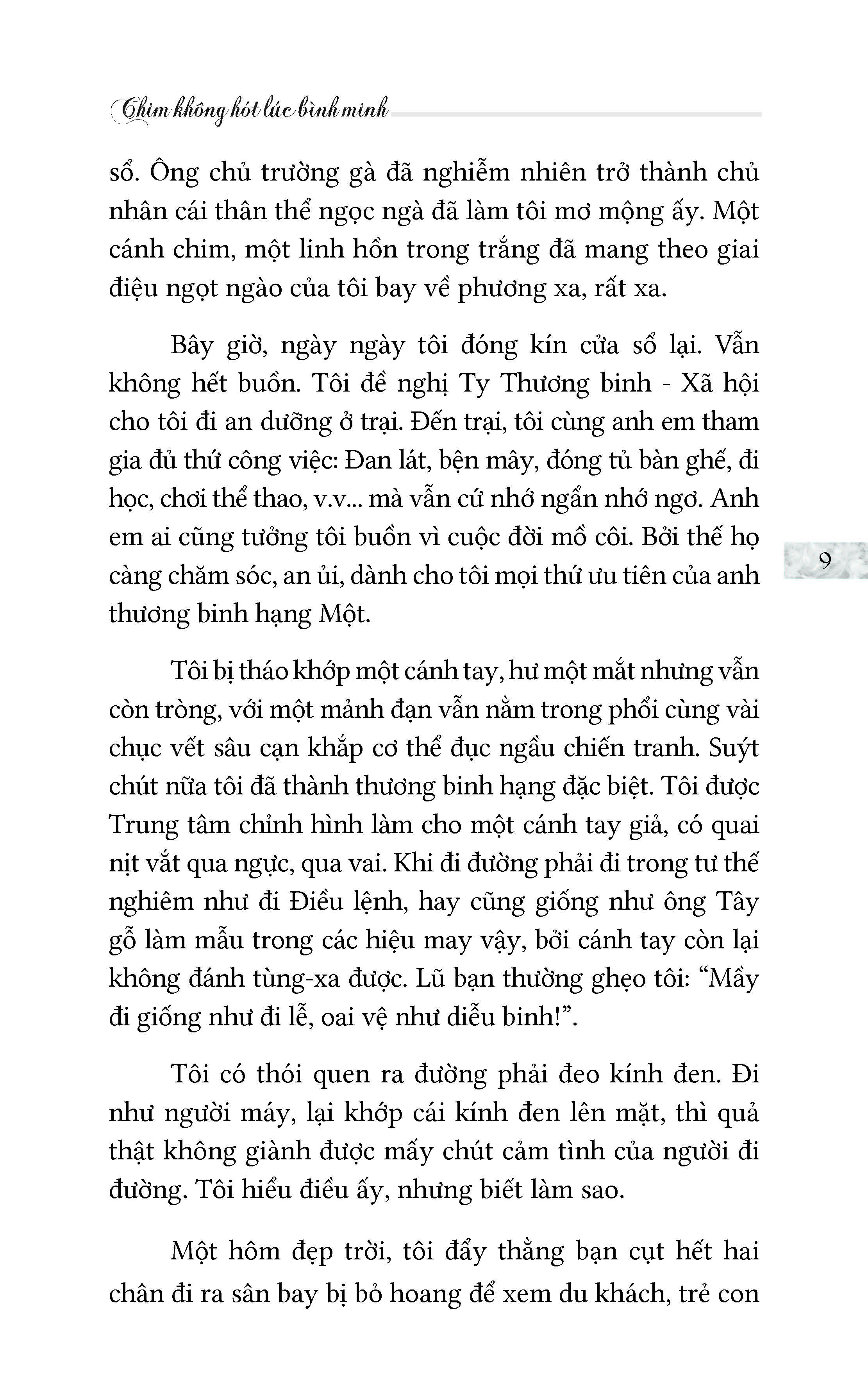Chim Không Hót Lúc Bình Minh