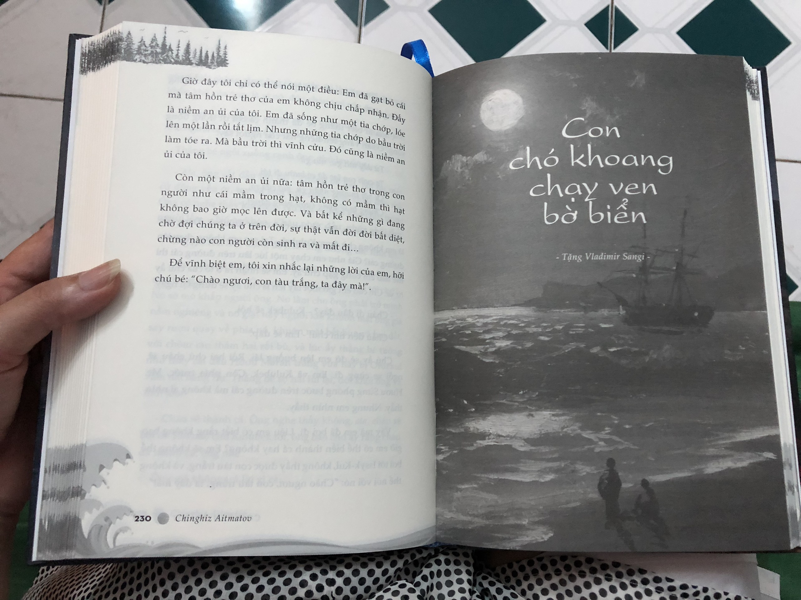 Con tàu trắng (Bìa cứng)