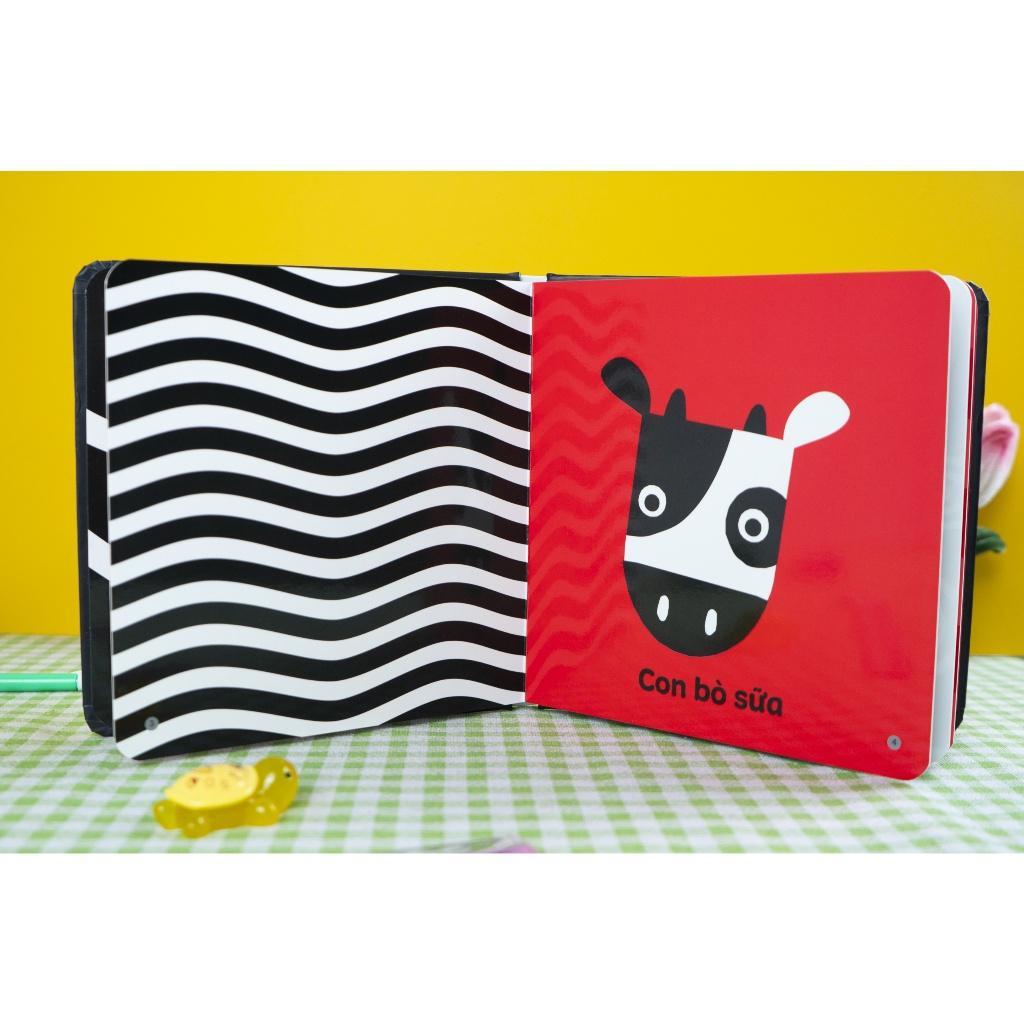 Sách - Kích thích thị giác và xúc giác - Cho trẻ 0 - 3 tuổi - Combo 4 Cuốn - Đinh Tị Books