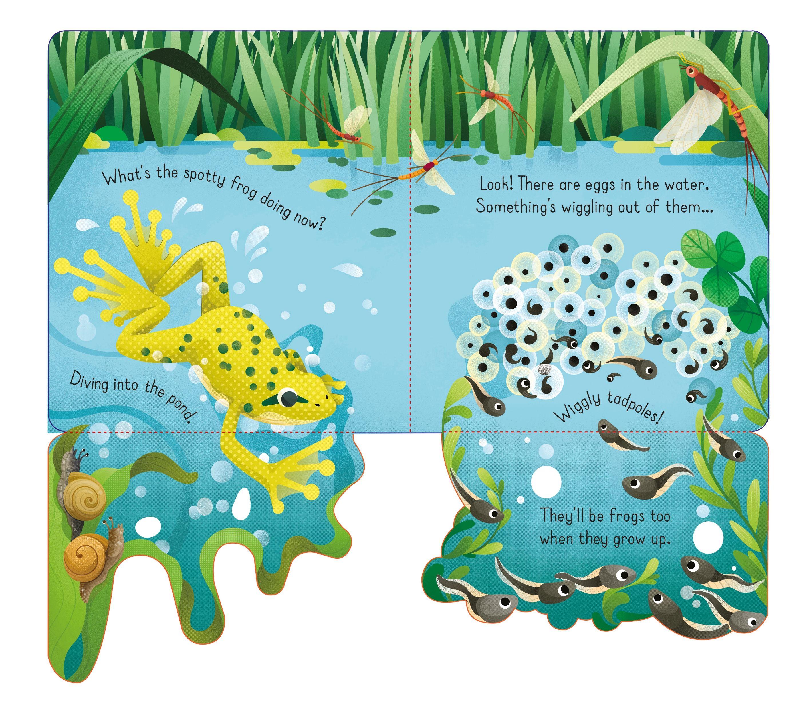 Lift The Flap Spotty Frog