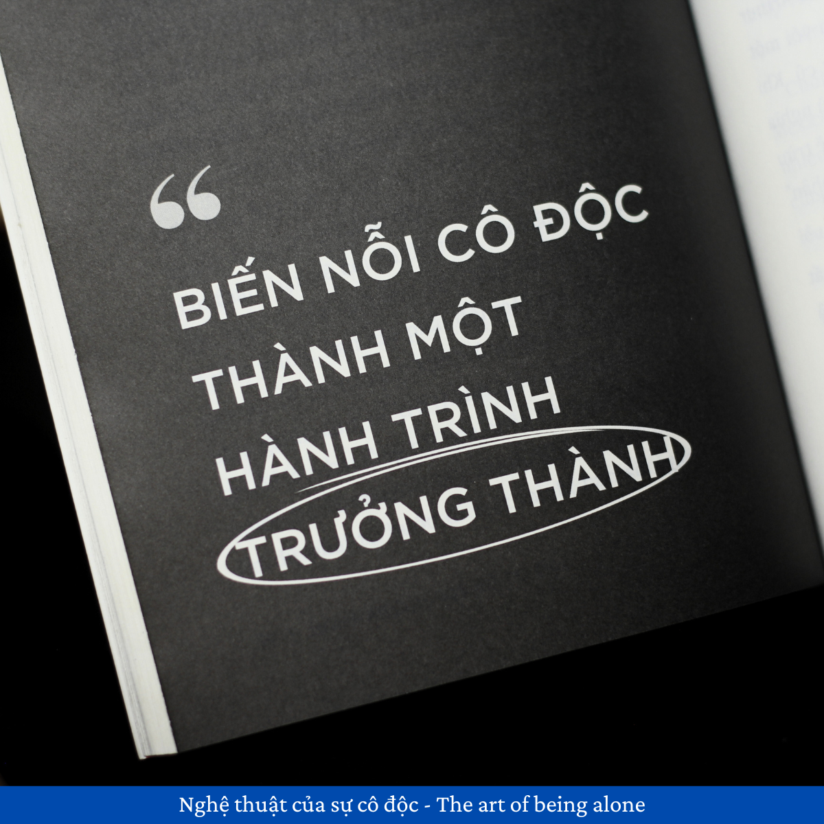 Sách - Nghệ Thuật Của Sự Cô Độc - The Art Of Being Alone