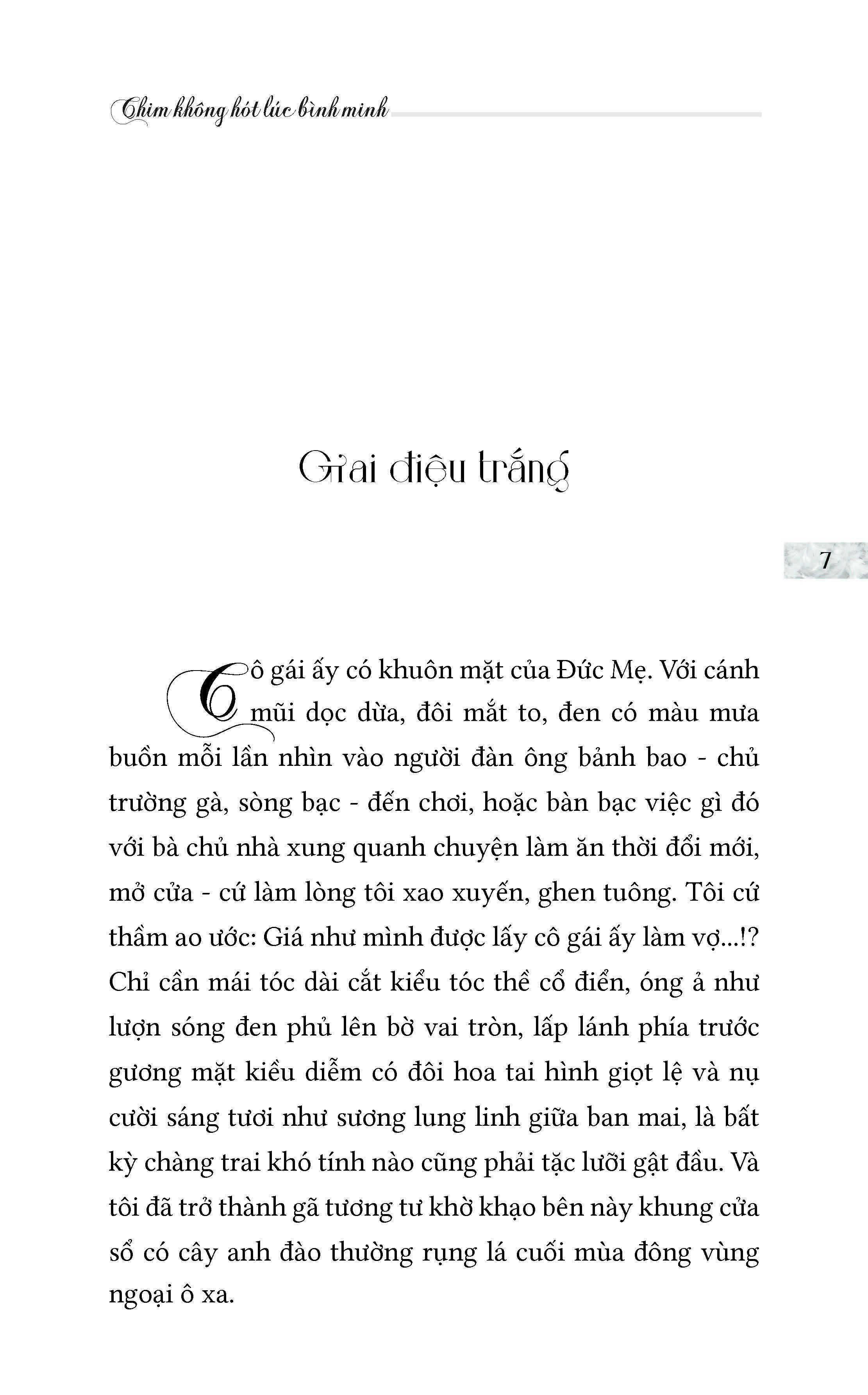 Chim Không Hót Lúc Bình Minh