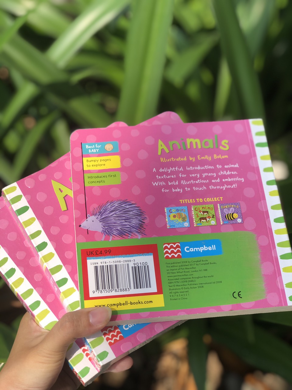 Campbell Animals (Series A Bumpy Book)