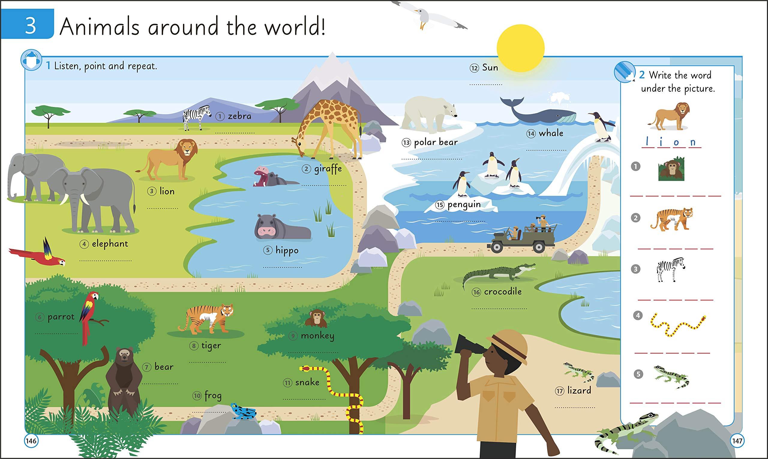 English For Everyone Junior Beginner