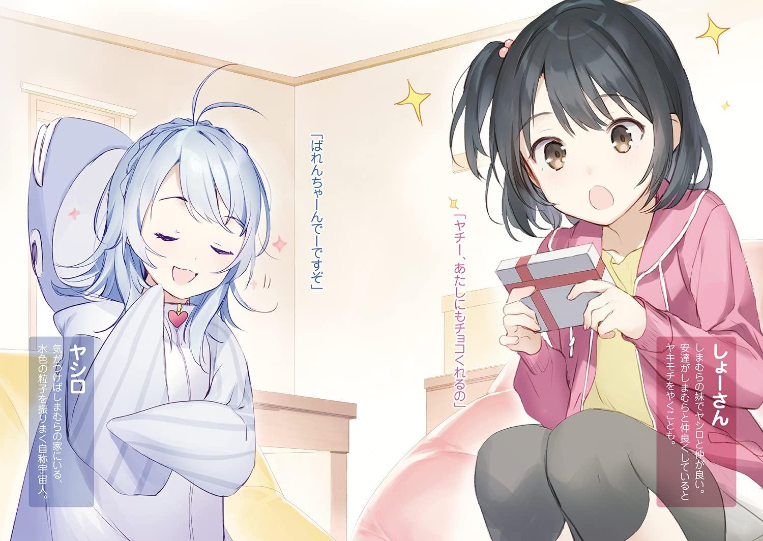 Adachi To Shimamura 10 (Light Novel) (Japanese Edition)
