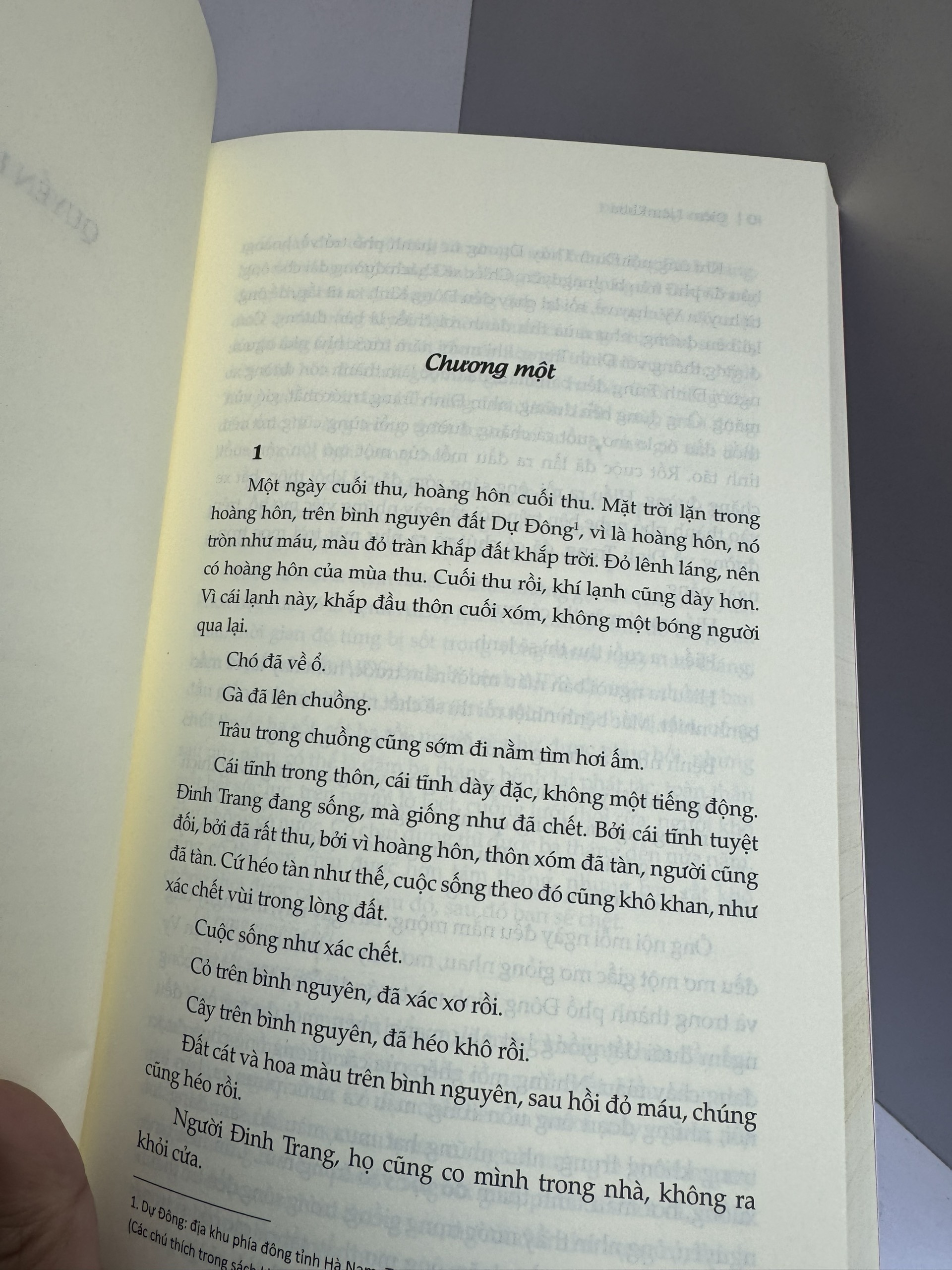 (Tái bản 2023) ĐINH TRANG MỘNG - Diêm Liên Khoa - Tao Đàn