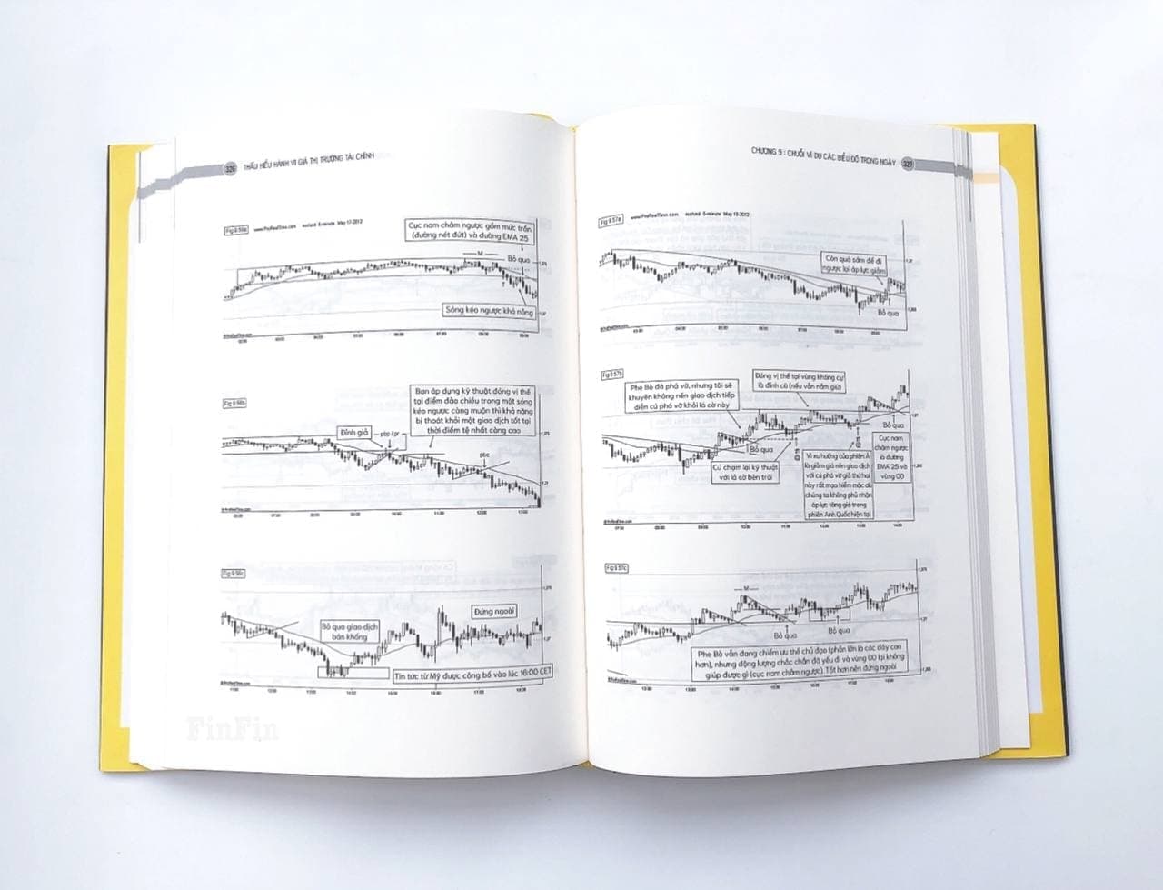 Thấu hiểu Hành vi giá Thị trường Tài chính (Understanding Price Action)