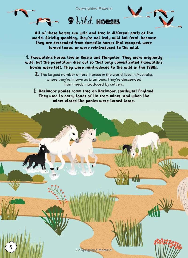Lists For Curious Kids: Animals: 206 Fun, Fascinating And Fact-Filled Lists