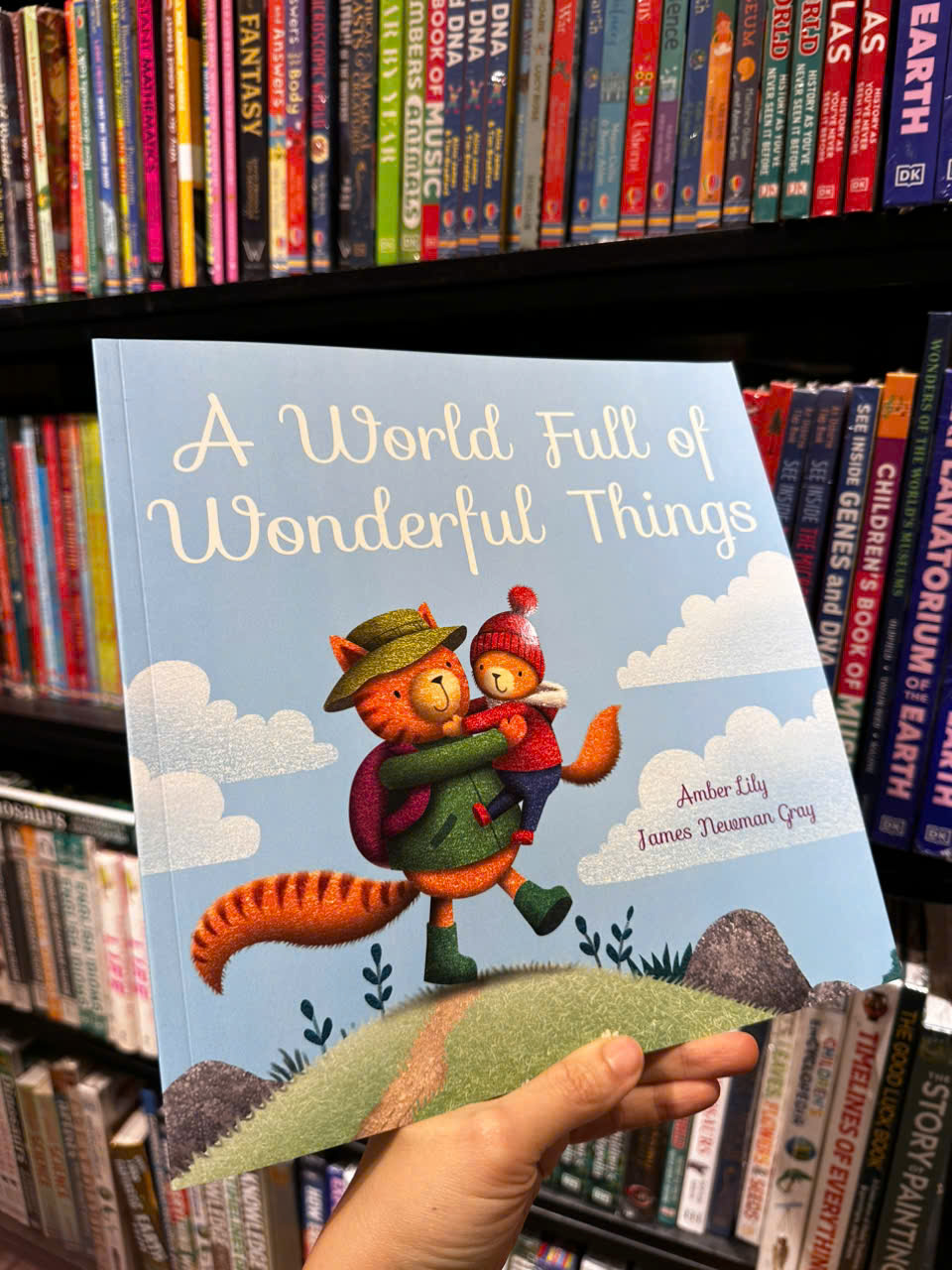 Sách - A World Full of Wonderful Things by Amber Lily - Sách ngoại văn, sách thiếu nhi tiếng Anh, bìa mềm, nhập khẩu UK