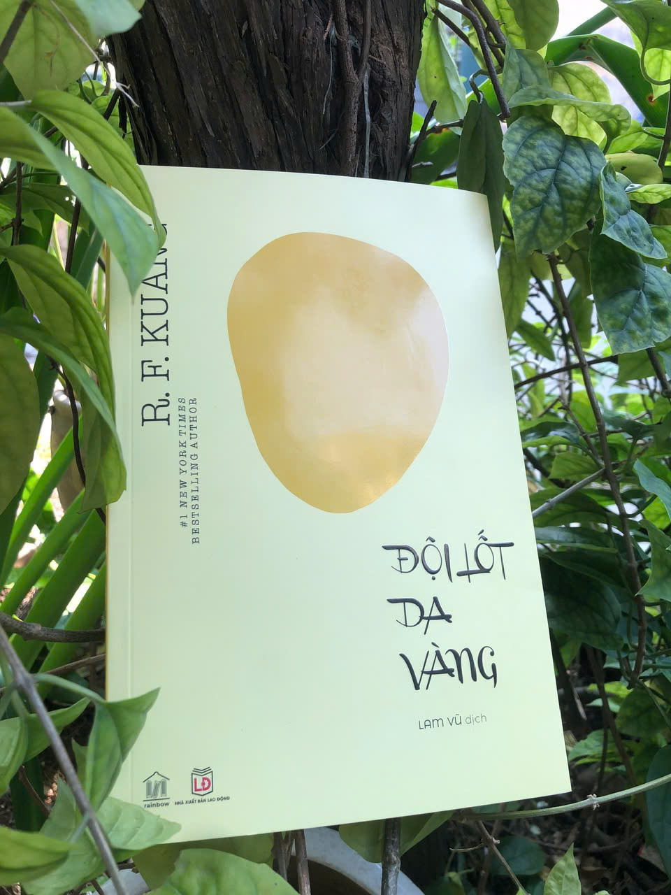 Đội Lốt Da Vàng (Yellowface) - R . F. Kuang