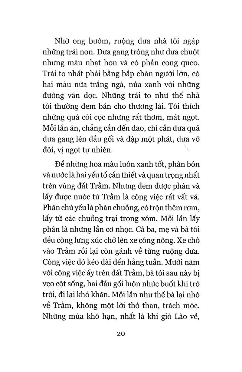 Đi Như Là Ở Lại (Tái Bản)