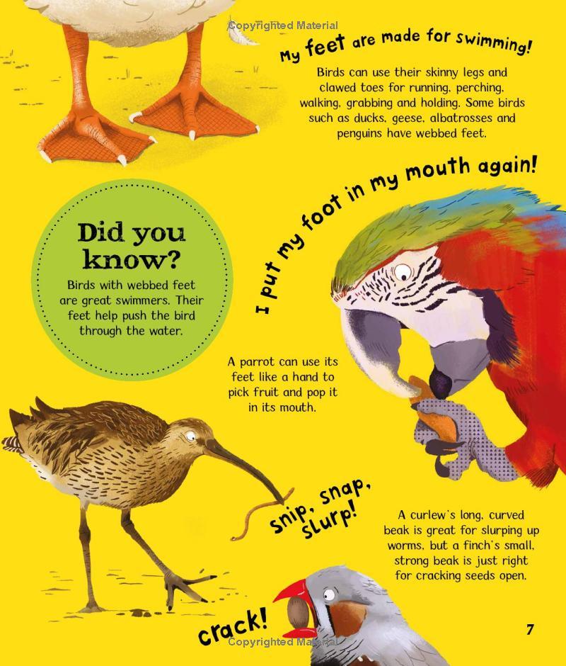 Wow! Look What Birds Can Do!