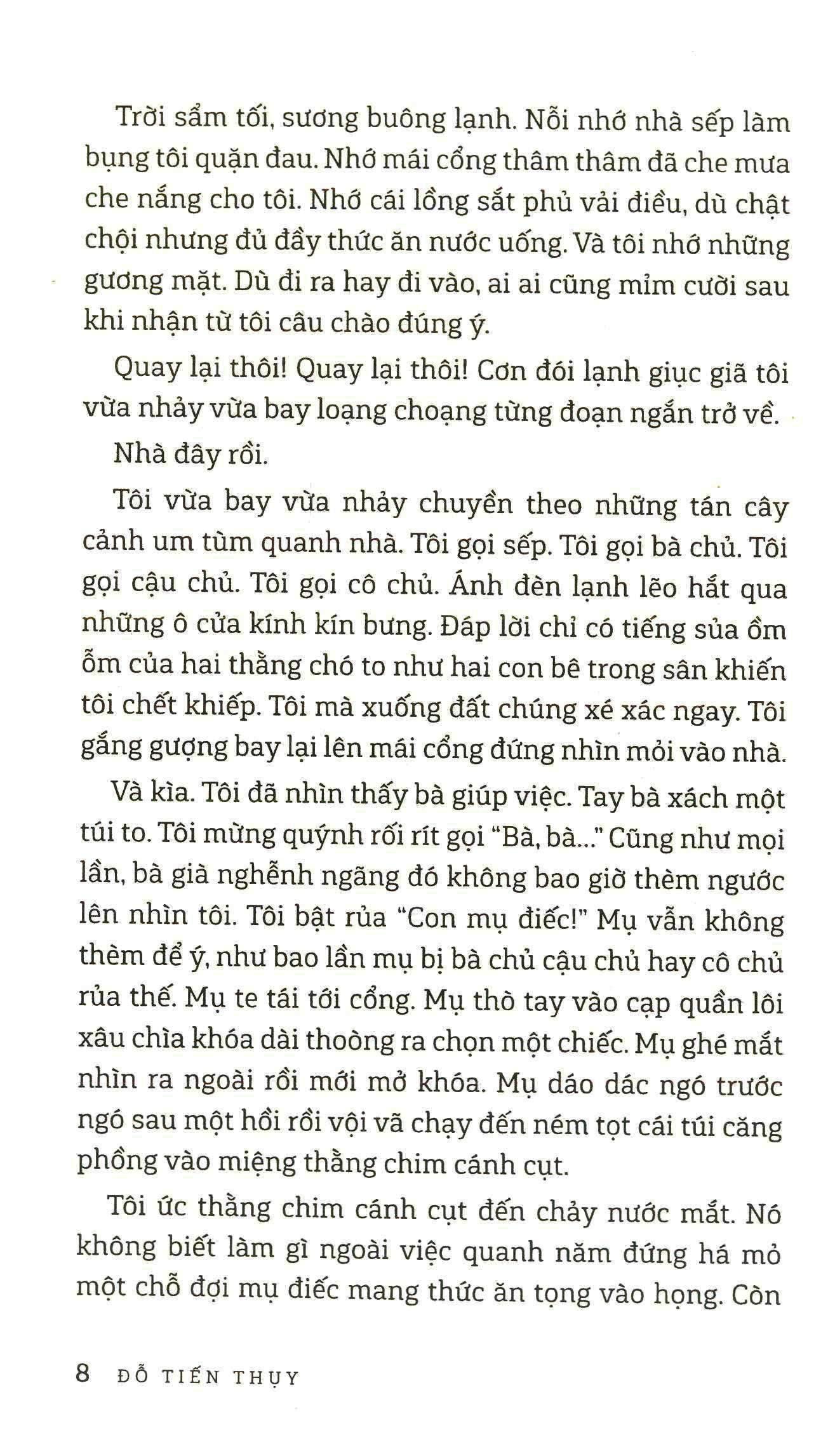 Con Chim Joong Bay Từ A Đến Z