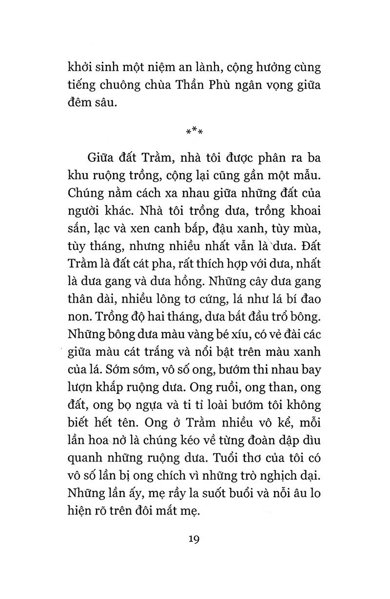 Đi Như Là Ở Lại (Tái Bản)
