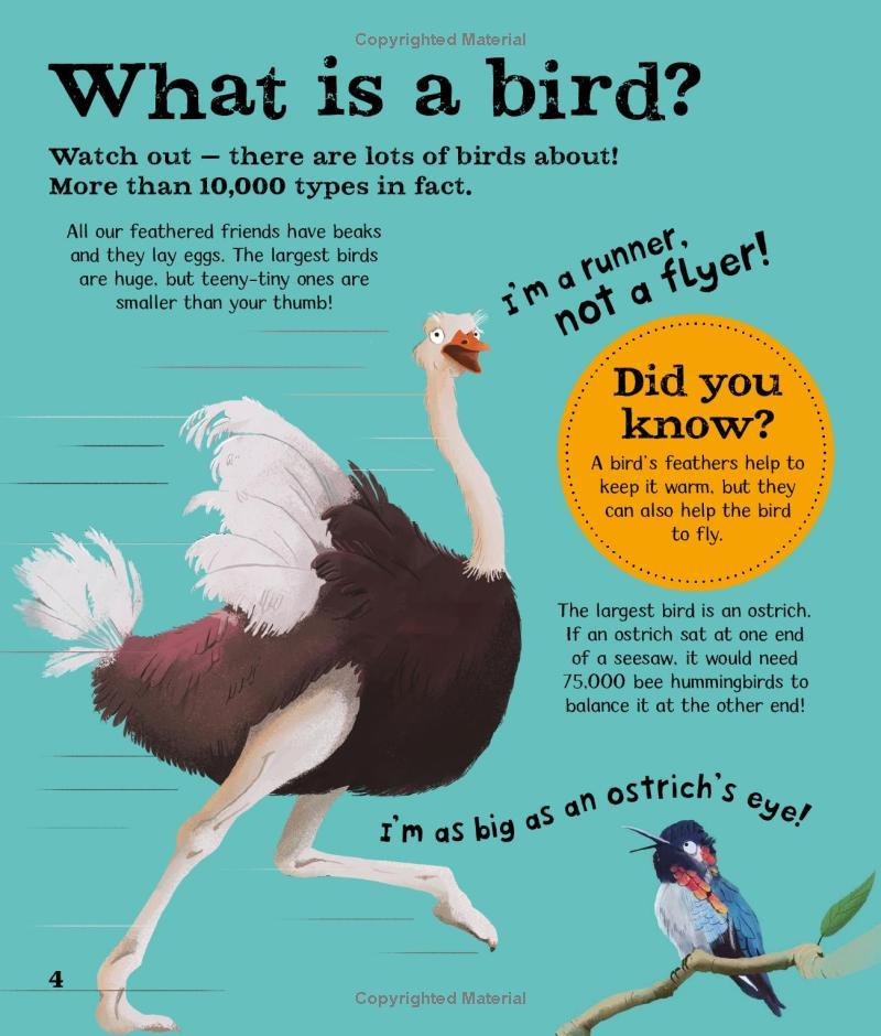 Wow! Look What Birds Can Do!