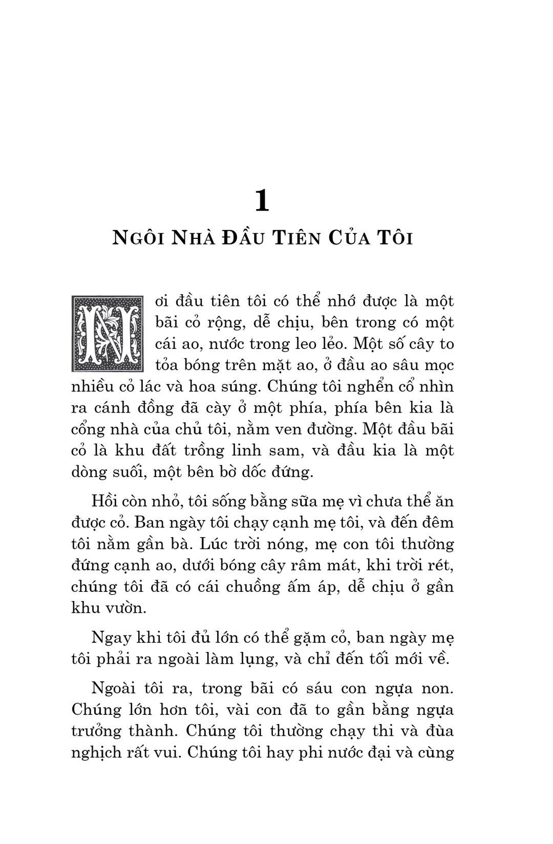 Văn Học Cổ Điển - Ngựa Ô Yêu Dấu (Tái Bản 2023)