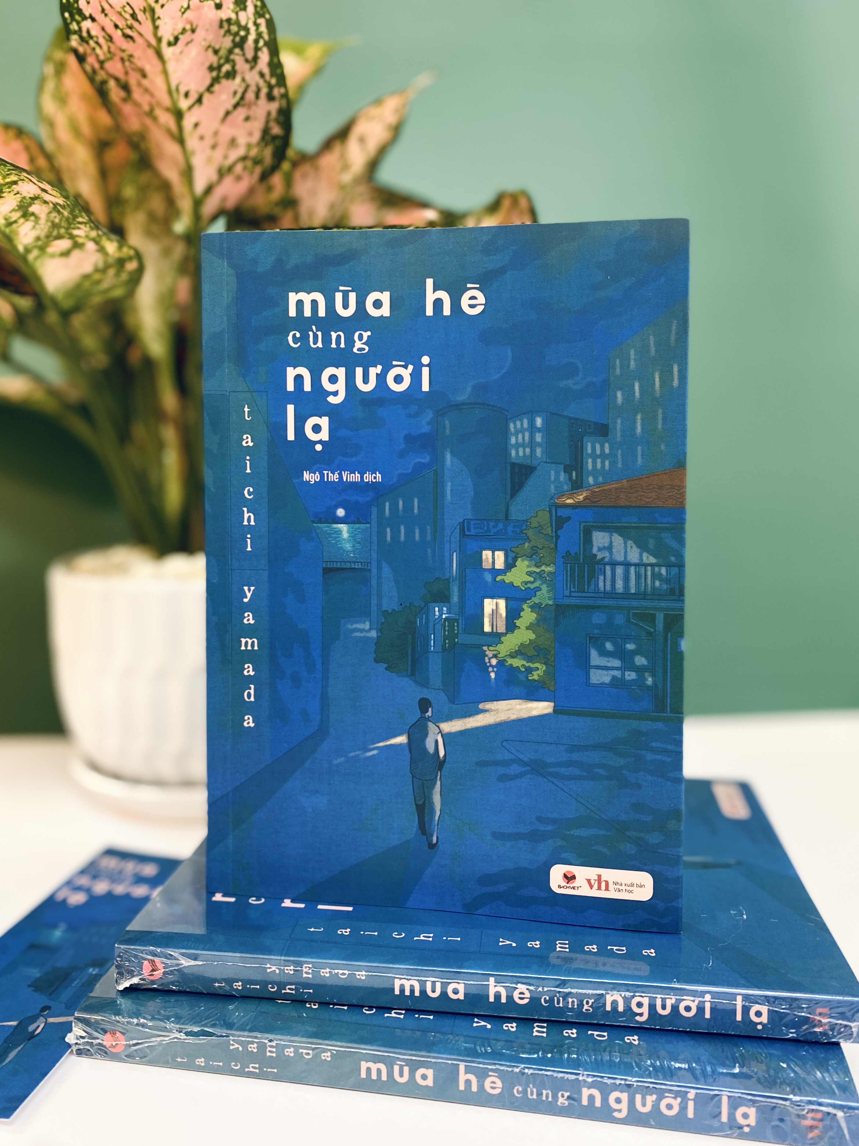 Sách - Mùa hè cùng người lạ