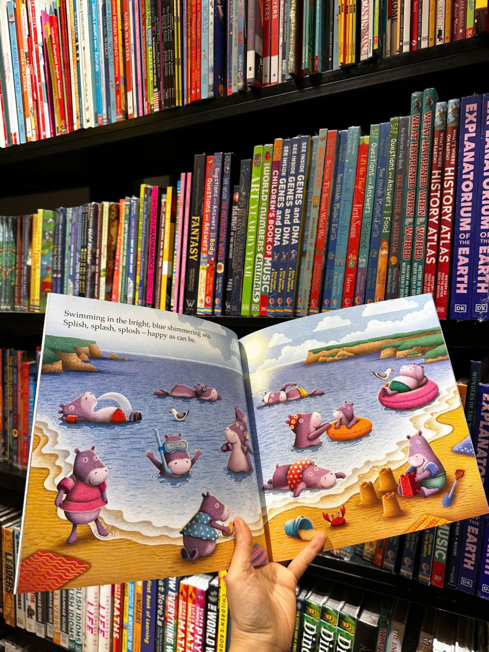 Sách - A World Full of Wonderful Things by Amber Lily - Sách ngoại văn, sách thiếu nhi tiếng Anh, bìa mềm, nhập khẩu UK