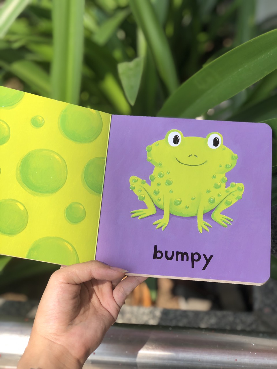 Campbell Animals (Series A Bumpy Book)
