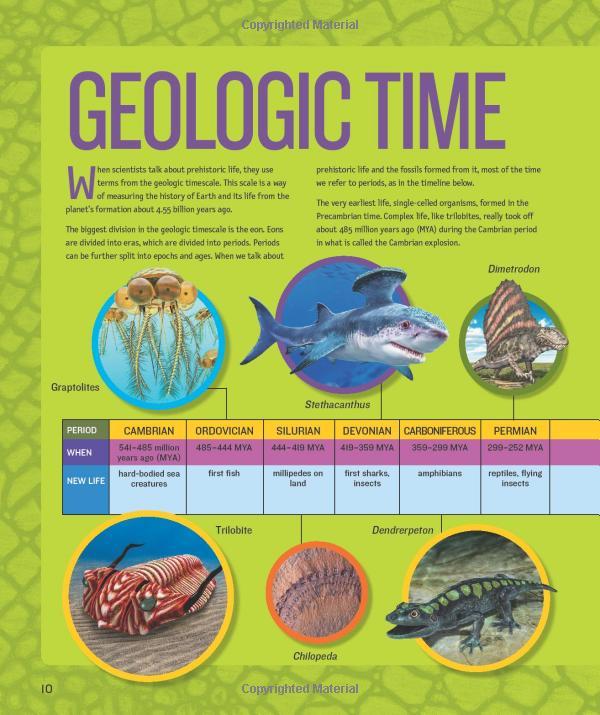 1,000 Facts About Dinosaurs, Fossils, And Prehistoric Life