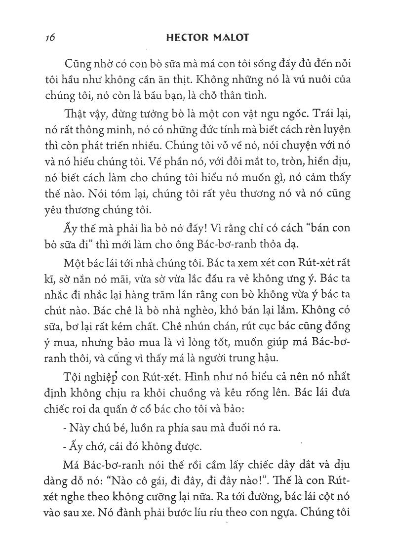Không Gia Đình - Bìa Cứng