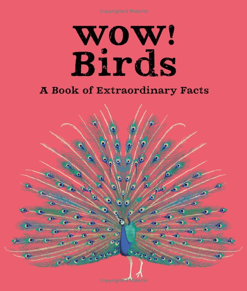 Wow! Look What Birds Can Do!