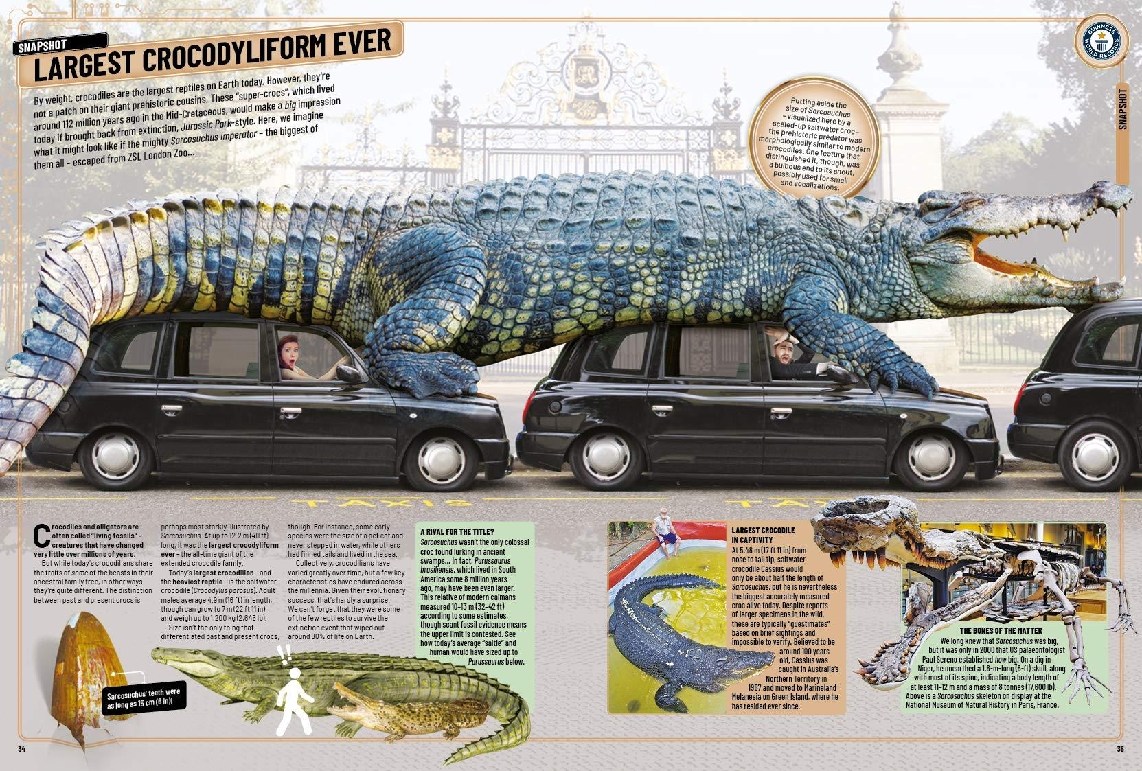 Guinness World Records 2020 (Hardback)