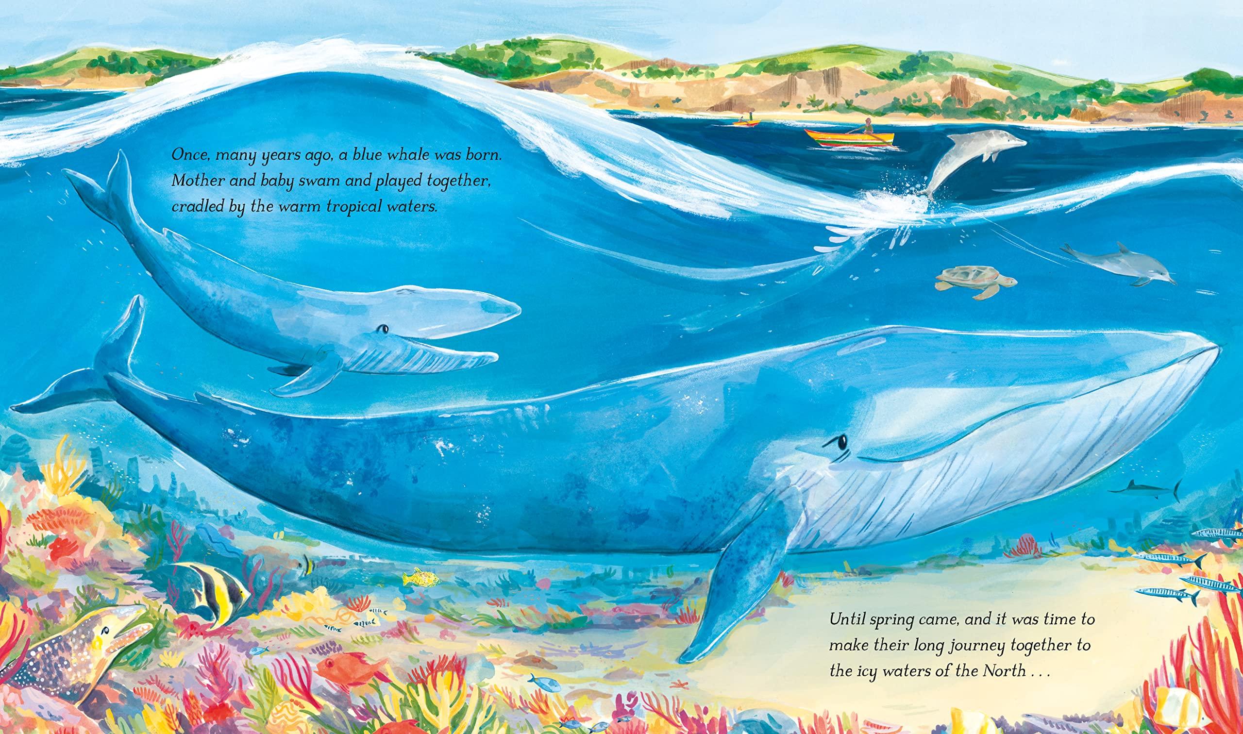Hope The Whale