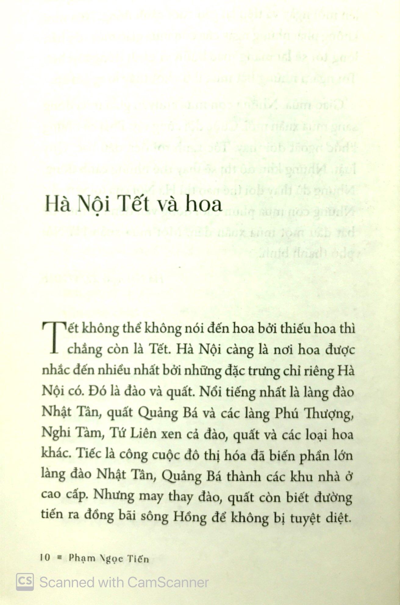 Phố Phở Phố Có Nhà To
