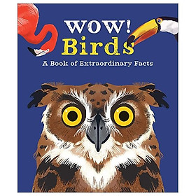 Wow! Birds