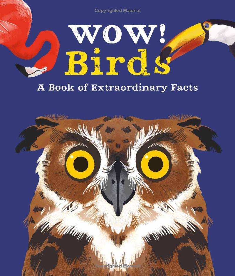 Wow! Look What Birds Can Do!