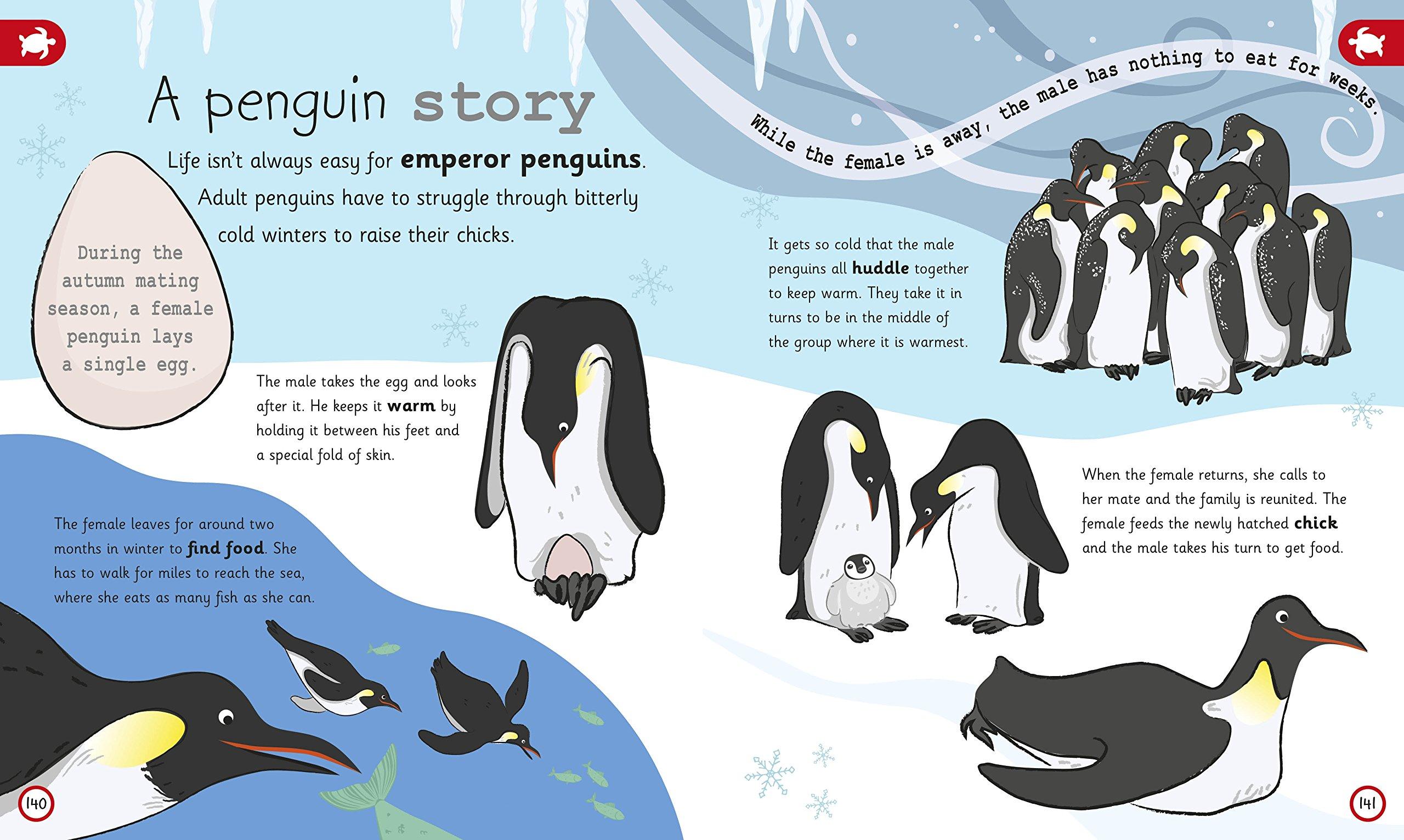 My Encyclopedia of Very Important Animals: For Little Animal Lovers Who Want to Know Everything (My Very Important Encyclopedias)