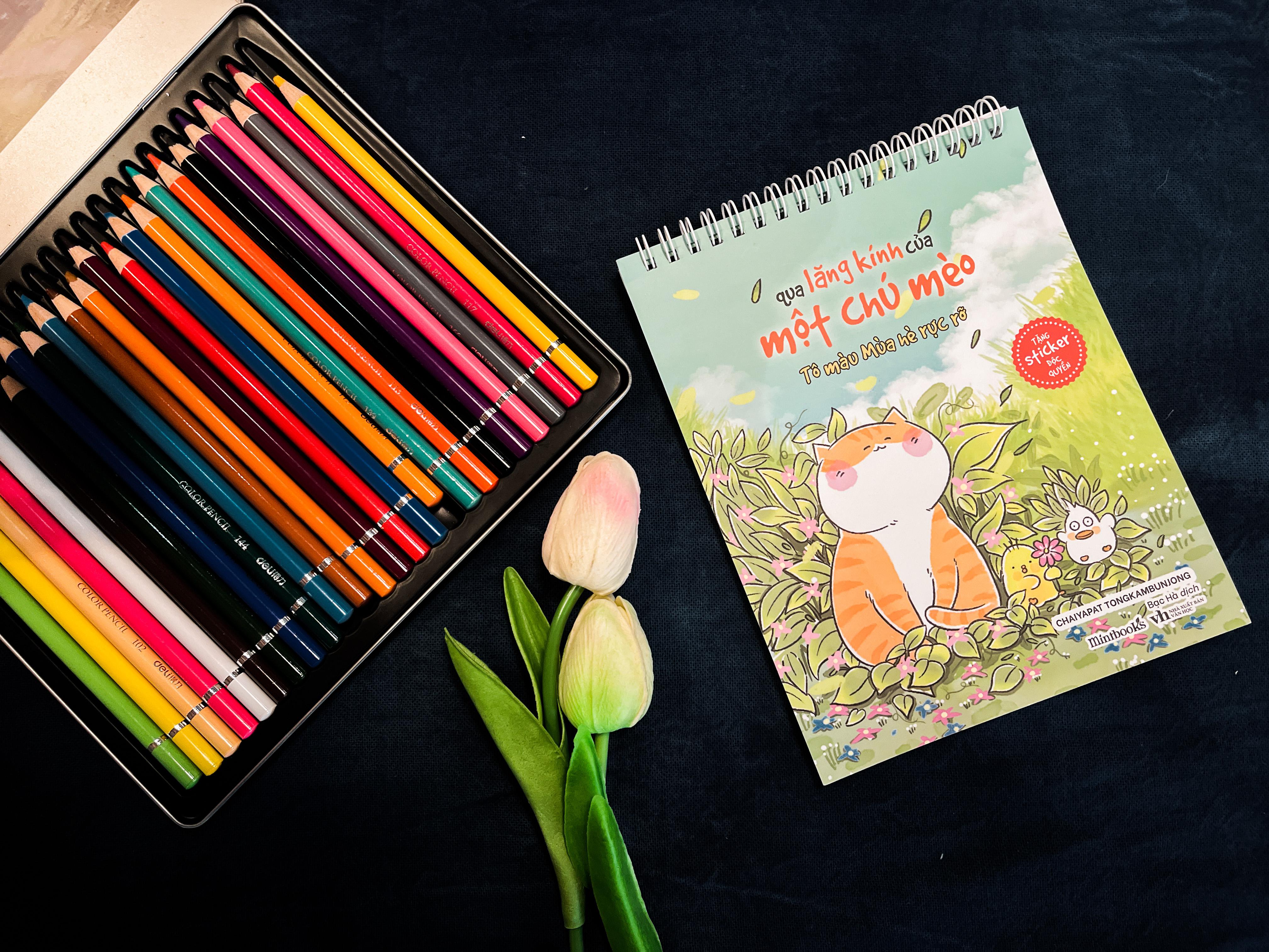 Qua Lăng Kính Của Một Chú Mèo (Tô Màu Mùa Hè Rực Rỡ) - Bản Quyền