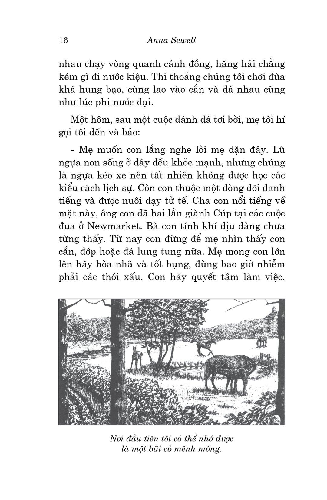Văn Học Cổ Điển - Ngựa Ô Yêu Dấu (Tái Bản 2023)