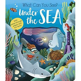 What Can You See? Under the Sea