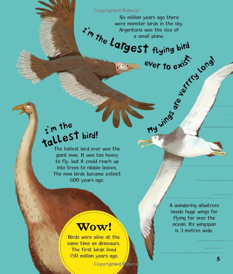 Wow! Look What Birds Can Do!